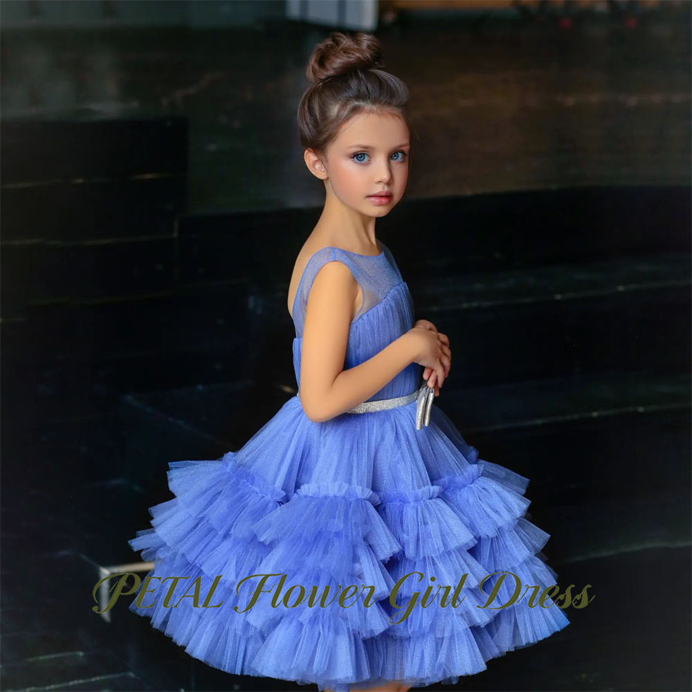 Vestidos de boda y cumpleaños  - Birthday Sash Glitter reseña y precio