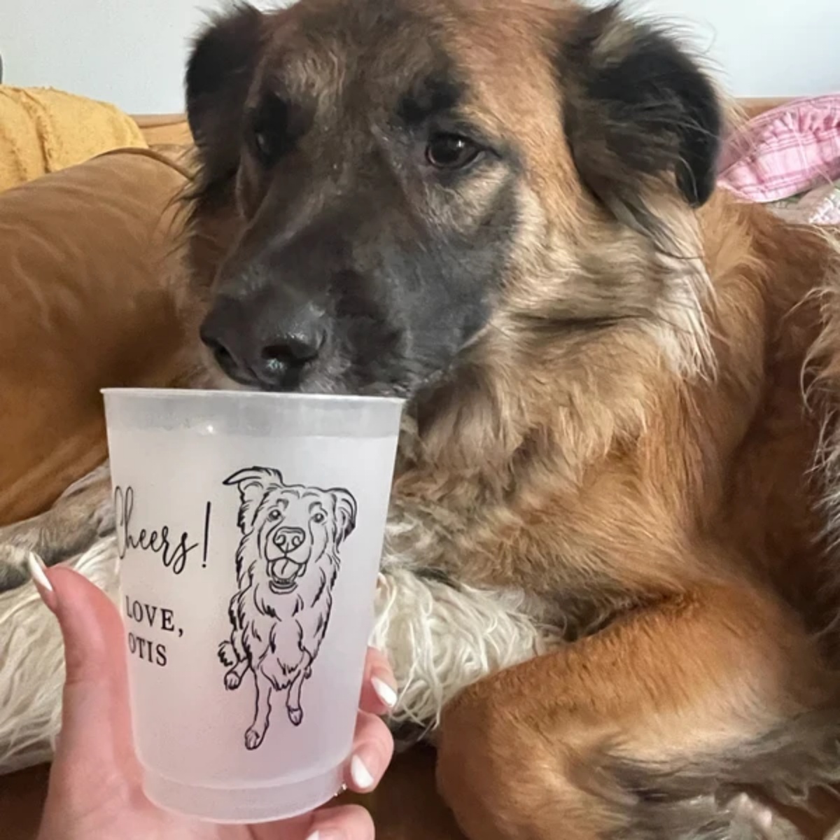 10/50 Vasos de Plástico Esmeri - Plastic Cup 50Pcs reseña y precio