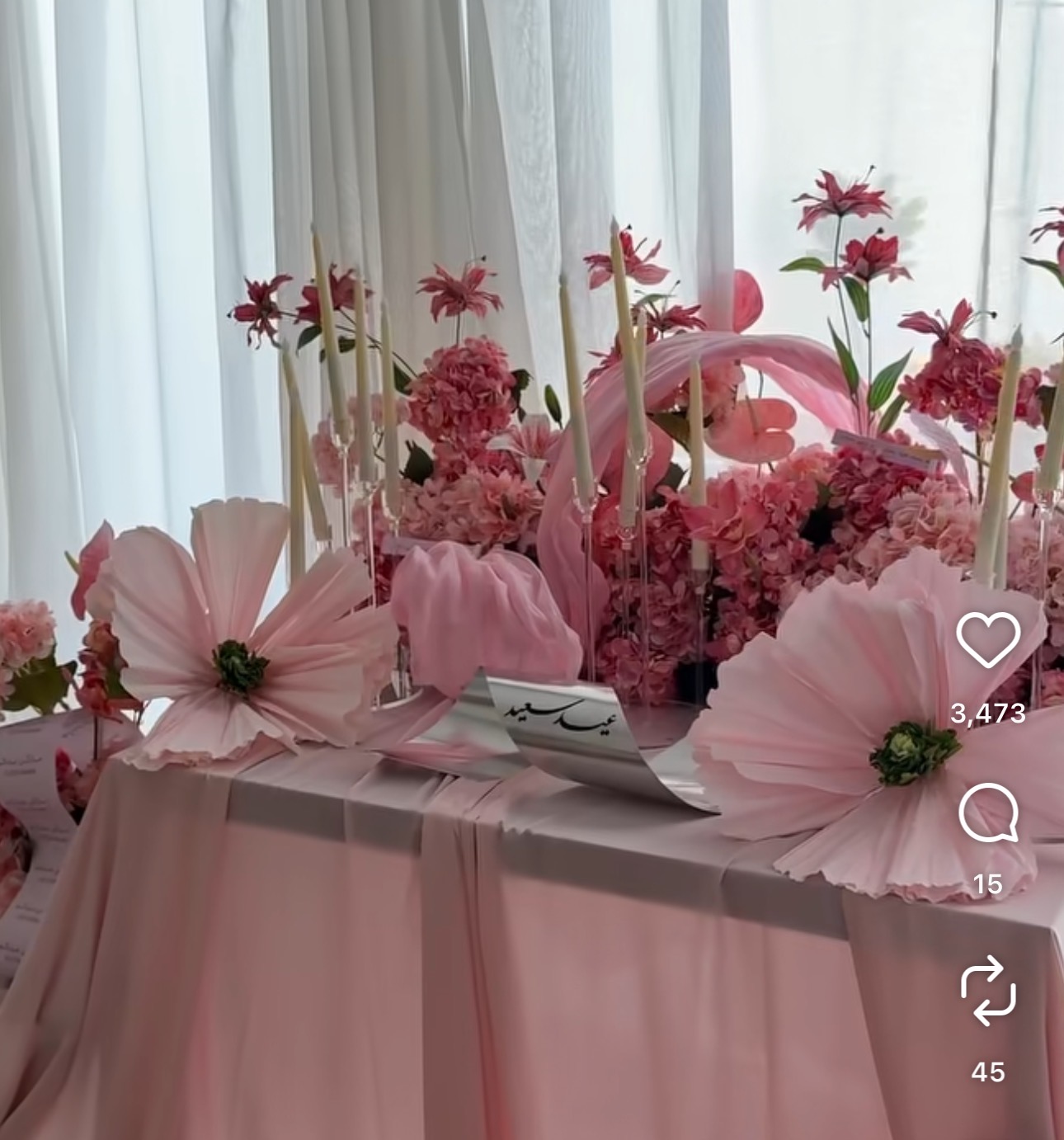 Proveedor de Bodas, Fondo de P - Party Event Supplier reseña y precio